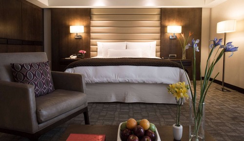 Habitación Grand, 1 cama de matrimonio grande