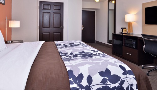 Habitación, 1 cama de matrimonio grande, accesible para personas con discapacidad, no fumadores