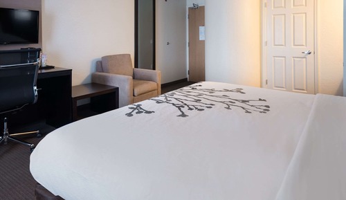 Habitación, 1 cama de matrimonio grande, no fumadores