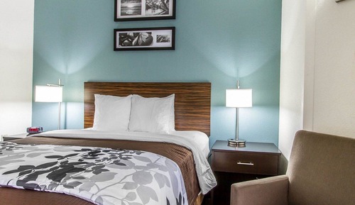 Habitación, 1 cama de matrimonio, accesible para personas con discapacidad, no fumadores