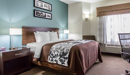 Habitación estándar, 1 cama de matrimonio, no fumadores