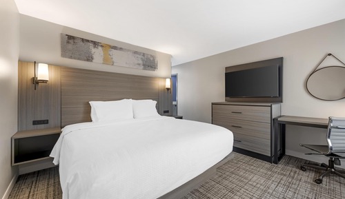 Suite, 1 cama de matrimonio grande, no fumadores (with Single Sofabed)