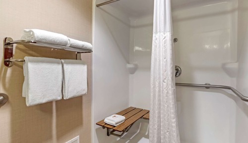 Suite, 1 cama de matrimonio grande con sofá cama, no fumadores (Roll-In Shower)