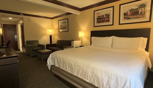 Habitación estándar, 1 cama de matrimonio grande con sofá cama
