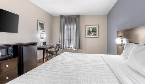 Habitación estándar, 1 cama de matrimonio grande, no fumadores, frigorífico y microondas