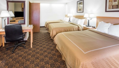 Suite, varias camas, no fumadores (Pet-Friendly)