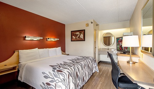 Suite, 1 cama de matrimonio grande (Smoke Free)