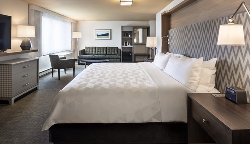 Habitación Premium, 1 cama de matrimonio grande