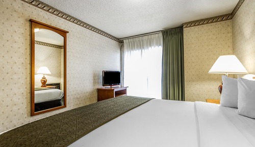 Habitación, 1 cama de matrimonio grande, accesible para personas con discapacidad, no fumadores