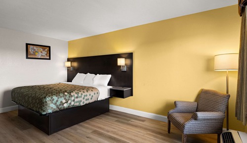 Habitación estándar, 1 cama de matrimonio grande, no fumadores