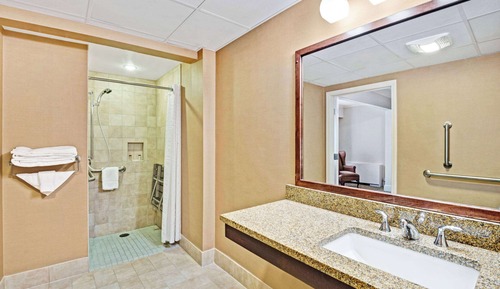 Suite, 1 cama de matrimonio grande, accesible para personas con discapacidad (One-Bedroom)