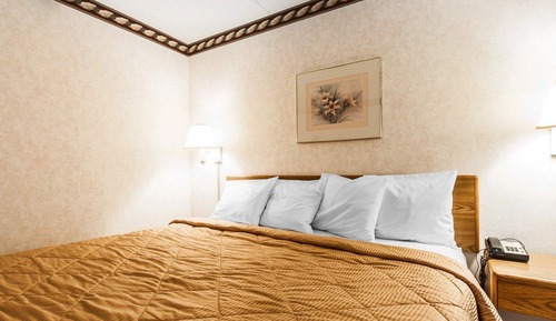 Habitación estándar, 1 cama de matrimonio grande, no fumadores