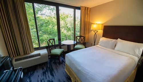 Habitación estándar, 1 cama de matrimonio grande