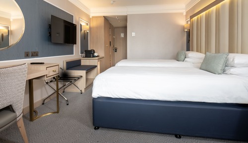 Habitación Deluxe con 2 camas individuales