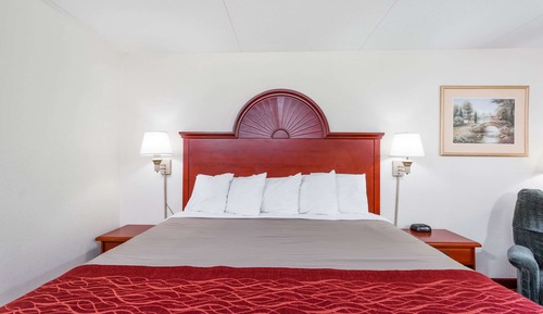 Habitación estándar, 1 cama de matrimonio grande