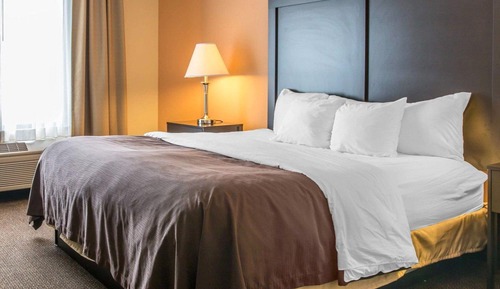 Habitación estándar, 1 cama de matrimonio grande con sofá cama, no fumadores (Roll-In Shower)