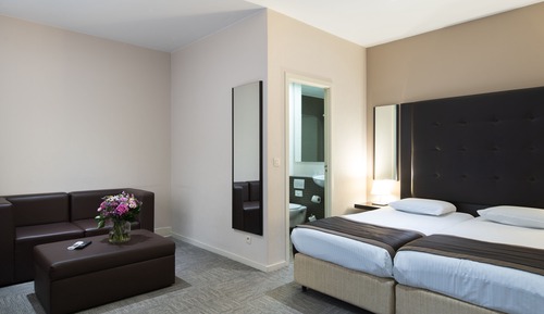 Habitación Business con 2 camas individuales