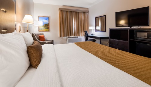 Habitación estándar, 1 cama de matrimonio grande, no fumadores, frigorífico y microondas