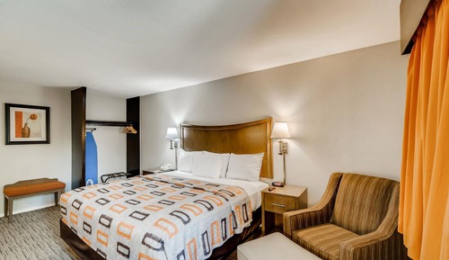 Habitación estándar, 1 cama de matrimonio grande