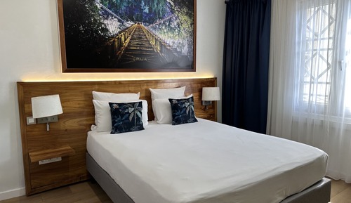 Habitación estándar, 1 cama doble