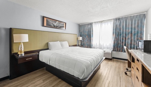 Habitación estándar, 1 cama de matrimonio grande, no fumadores