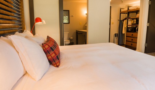 Deluxe King Suite Resort View
