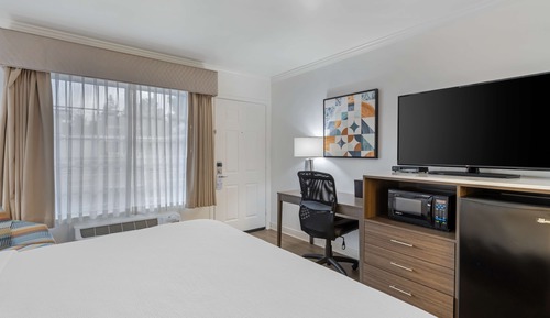 Habitación estándar, 1 cama de matrimonio grande, no fumadores, frigorífico y microondas