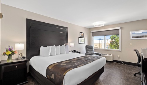 Habitación estándar, 1 cama de matrimonio grande (Handicapped Accessible one King Bed)