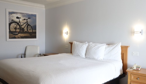 Habitación estándar, 1 cama de matrimonio grande