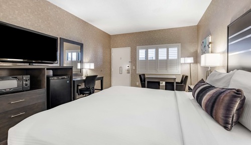Habitación estándar, 1 cama de matrimonio grande, frigorífico y microondas (Walk-in Shower)