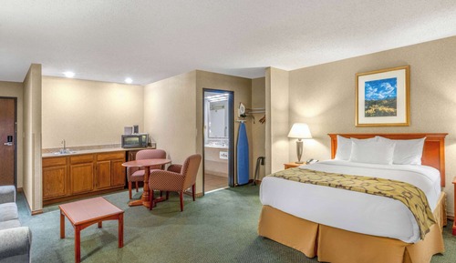 Suite, varias camas, no fumadores (One-Bedroom)