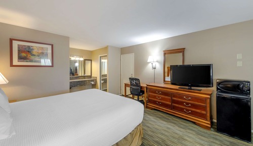 Habitación estándar, 1 cama de matrimonio, no fumadores, frigorífico y microondas