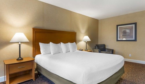 Habitación estándar, 1 cama de matrimonio grande, no fumadores, frigorífico y microondas