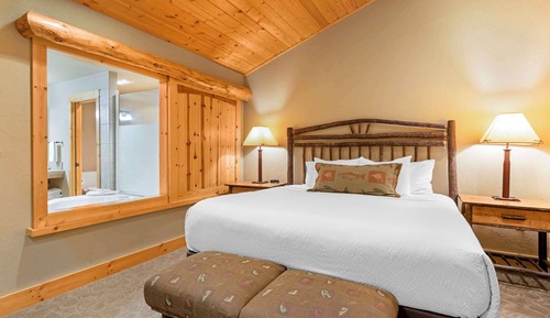 Suite, 1 cama de matrimonio grande, no fumadores (with Sofabed;No Pets in room type)