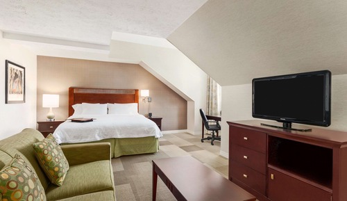 Suite, 1 cama de matrimonio grande (Parlor)