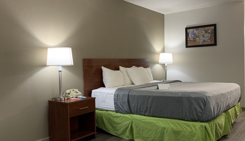 Habitación estándar, 1 cama de matrimonio grande, no fumadores