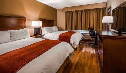 Habitación estándar, 2 camas de matrimonio, no fumadores (Pet Friendly)