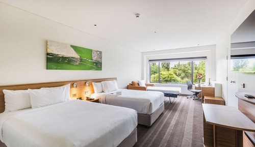 Habitación estándar, 2 camas dobles, vistas al parque