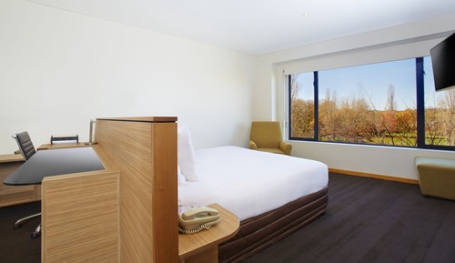 Habitación estándar, 1 cama de matrimonio grande, vistas al parque