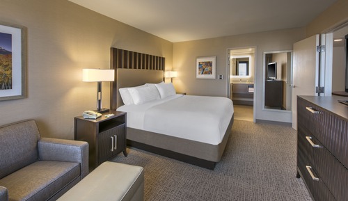 Habitación Premium, 1 cama de matrimonio grande