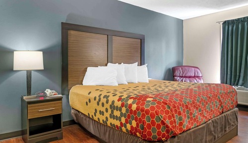 Habitación estándar, 1 cama de matrimonio grande, no fumadores