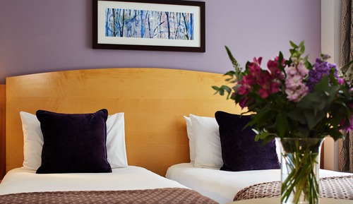 Habitación Premium doble, 1 cama de matrimonio grande