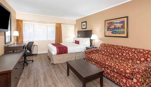 Suite, 1 cama de matrimonio, no fumadores (with Sofabed)