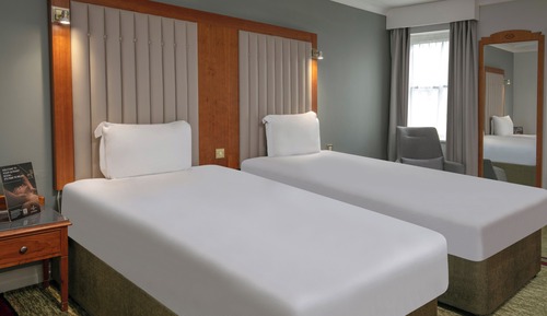 Habitación clásica con 2 camas individuales
