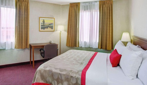Habitación estándar, 1 cama de matrimonio grande