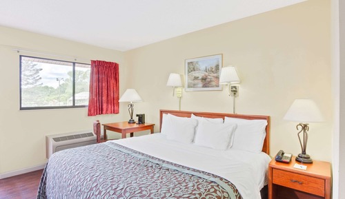Habitación estándar, 1 cama de matrimonio grande