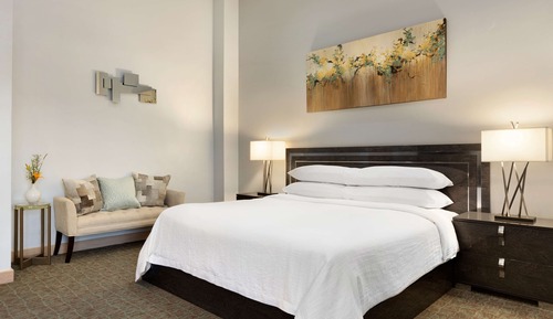 Suite presidencial, 1 cama de matrimonio grande, no fumadores
