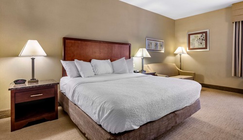 Habitación estándar, 1 cama de matrimonio grande, no fumadores, frigorífico y microondas