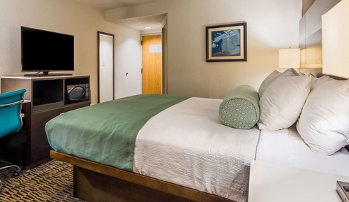 Habitación, 1 cama de matrimonio grande, accesible para personas con discapacidad, no fumadores
