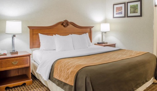 Habitación estándar, 1 cama de matrimonio grande con sofá cama, no fumadores